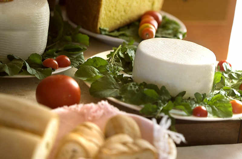 menu Il menù del ristorante